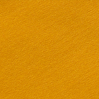 Women's Global Short Sleeve T Iris Yellow